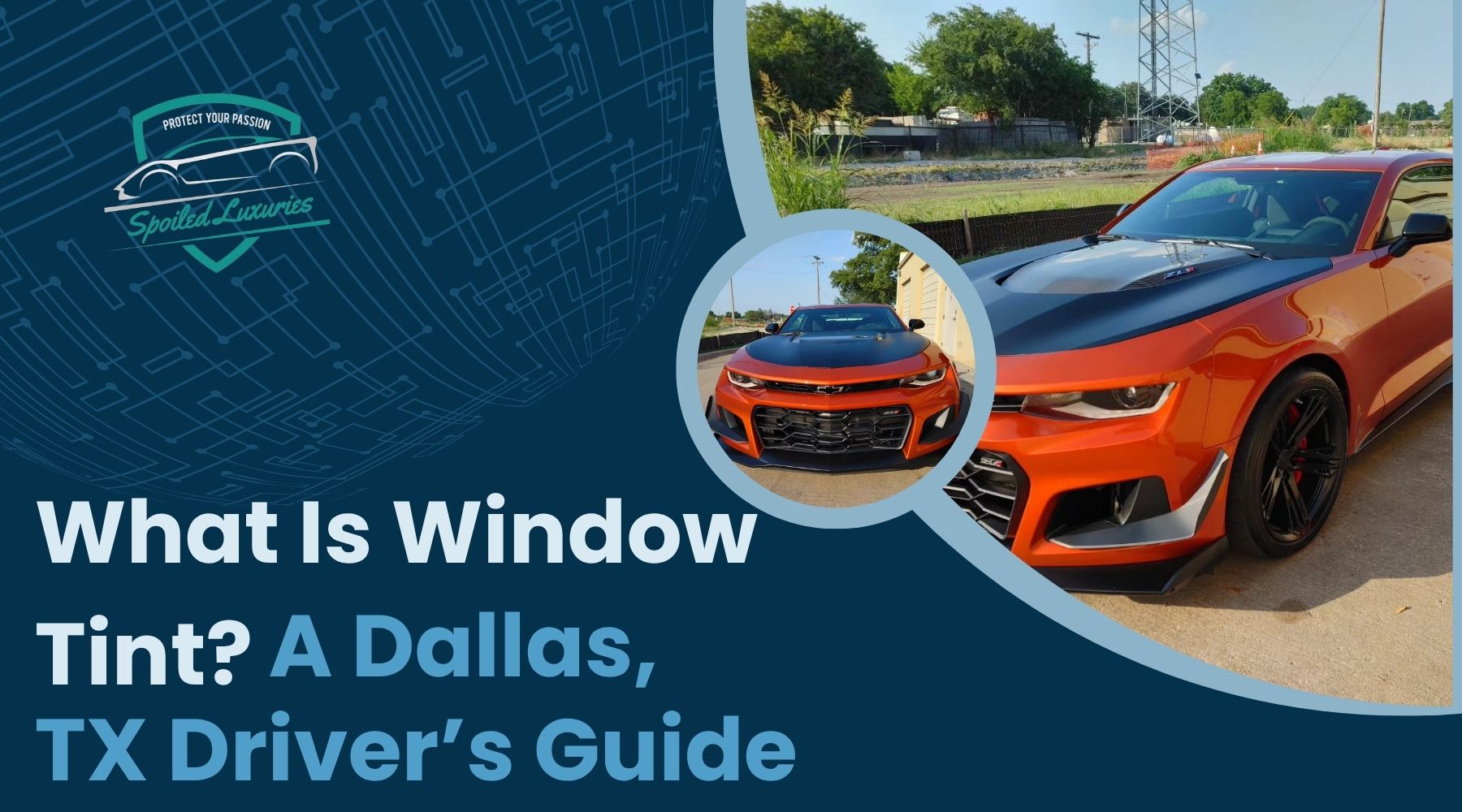 Graphic for Spoiled Luxuries featuring a bright orange sports car with tinted windows, set outdoors under a clear sky. The text reads, “What Is Window Tint? A Dallas, TX Driver’s Guide.”